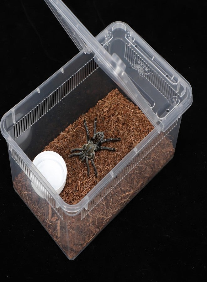 ايرينير صندوق تربية الزواحف من إيرينار، 8 قطع، مصنوع من البلاستيك، مناسب للعناكب، صندوق تغذية الرتيلاء، مناسب للتنين الملتحي، السحلية، العنكبوت، أبو بريص، العقرب (شرائط تهوية، شفاف، 7.48 × 4.92 × 2.95 بوصة) - Image 4